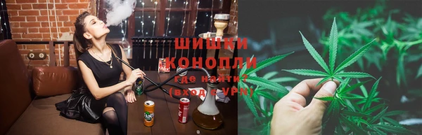 прущие грибы Пестово