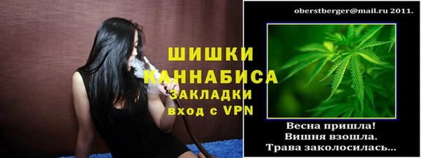 дживик Переславль-Залесский