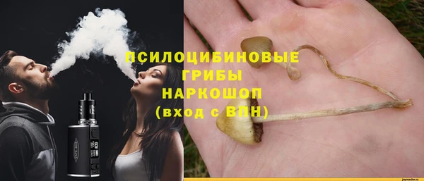 МДПВ Кукмор