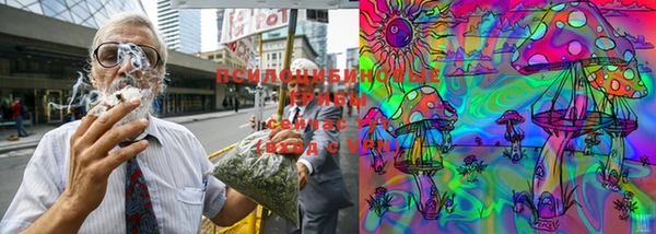 МДПВ Кукмор