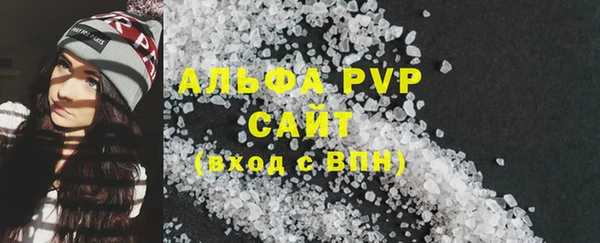 прущие грибы Пестово