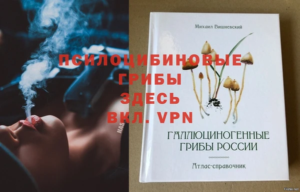 МДПВ Кукмор
