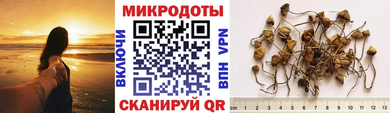 купить закладку  Ленинградская  Галлюциногенные грибы мухоморы 